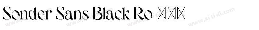 Sonder Sans Black Ro字体转换 Sonder Sans Black Ro字体转换